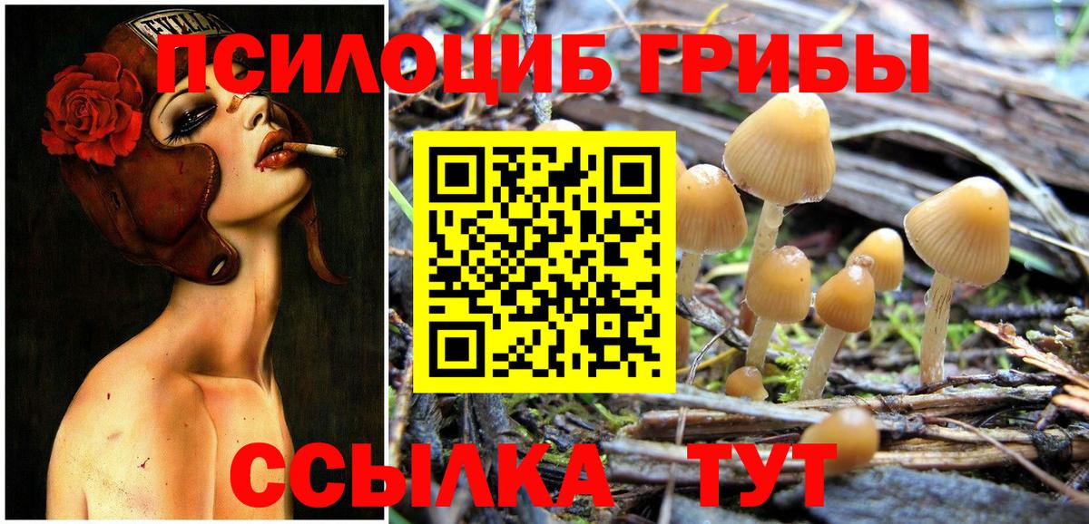 Псилоцибиновые грибы Psilocybe Первоуральск