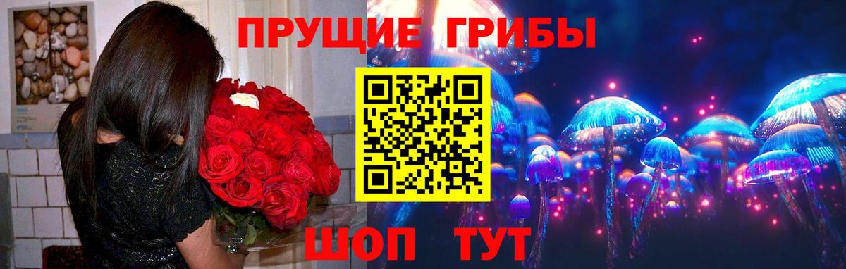 Первоуральск  Псилоцибиновые грибы Cubensis  Вход с VPN  Псилоцибиновые грибы Cubensis 